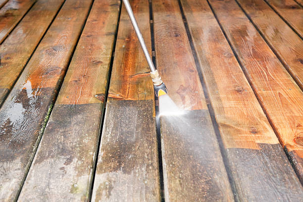 Best Roof Washing  in Pecos, TX
